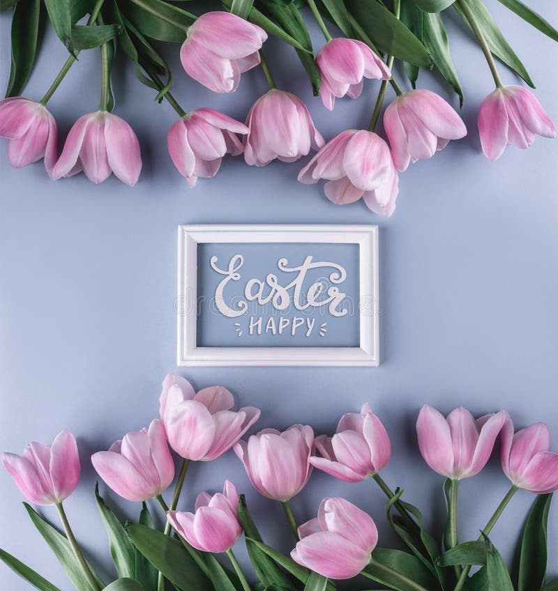 Pink tulips flowers on blue background with frame for text. Waiting for spring. Happy Easter card. Flat lay, top view. Pink tulips flowers on blue background with frame for text. Waiting for spring. Happy Easter card. Flat lay, top view.